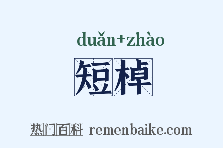 短棹是什么意思的图片